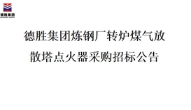 德勝集團(tuán)煉鋼廠(chǎng)轉(zhuǎn)爐煤氣放散塔點(diǎn)火器招標(biāo)項(xiàng)目