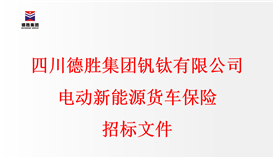四川德勝集團(tuán)釩鈦有限公司電動新能源貨車保險(xiǎn)招標(biāo)文件